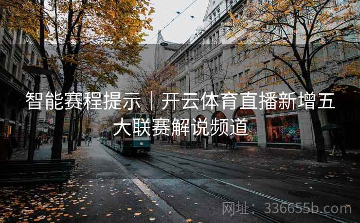 智能赛程提示｜开云体育直播新增五大联赛解说频道
